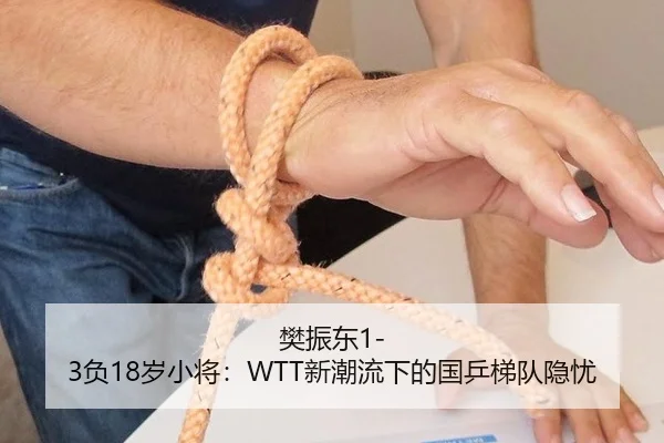 樊振东1-3负18岁小将：WTT新潮流下的国乒梯队隐忧